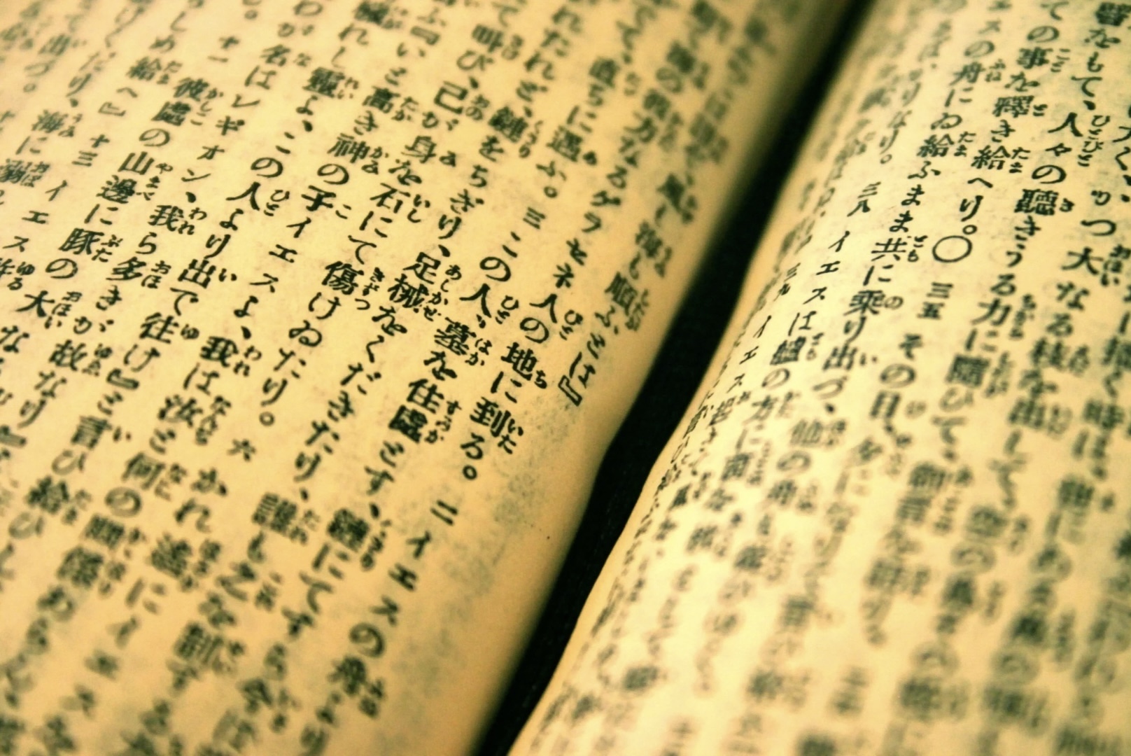 Documento de registro familiar japonês Koseki Tohon para processo com a Bella Lex Despachante