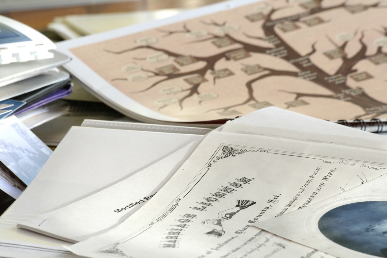 Certidões antigas e documentos necessários para comprovar descendência polonesa. Bella Lex Despachante assessora.