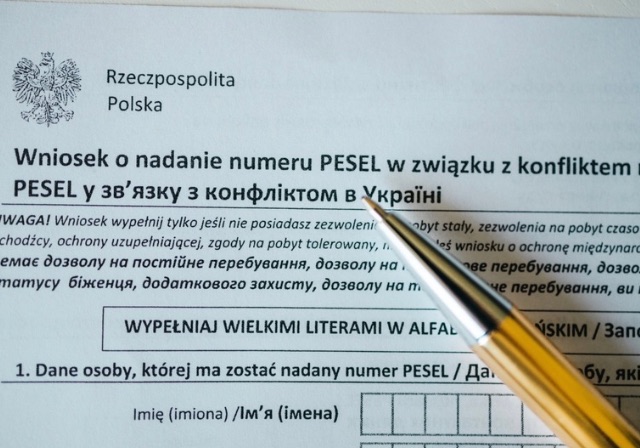 A Bella Lex Despachante organiza toda a documentação e preenche o formulário necessário para dar entrada na dupla cidadania
